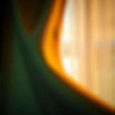 Close-up of luxurious fabric used for curtains