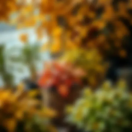 Colorful fall leaves surrounding potted plants