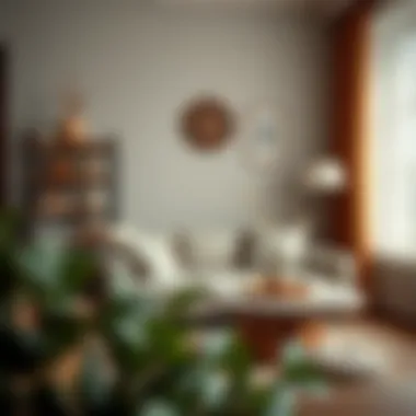 Natural remedies for furniture odor removal