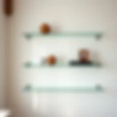 Contemporary Glass Shelf Design Contemporary glass shelf adding modern touch