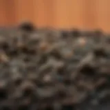 Rich brown soil with organic matter