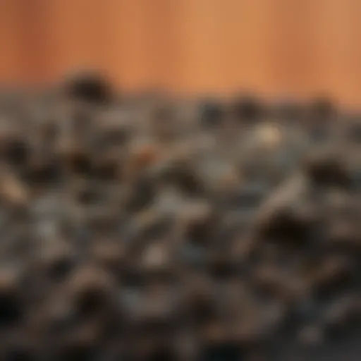 Rich brown soil with organic matter