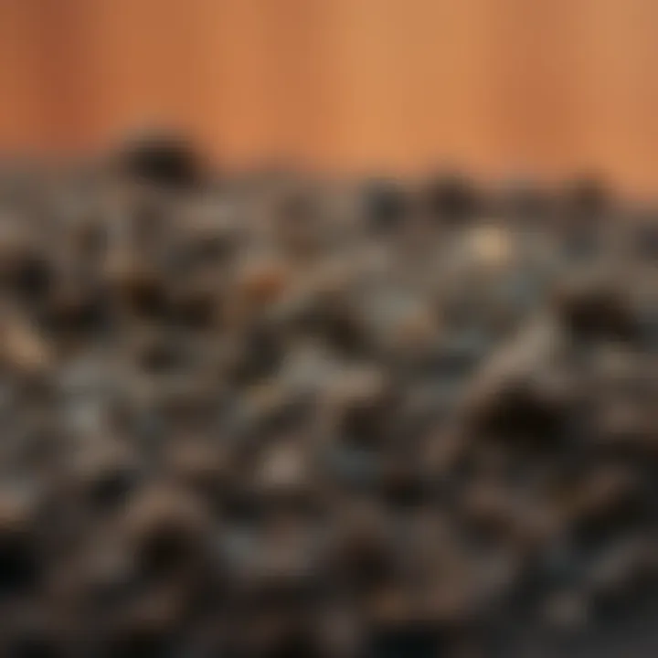 Rich brown soil with organic matter