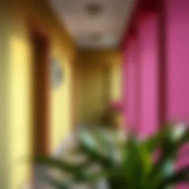 Vibrant colors for corridor decor