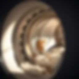 Interior view of a washing machine showcasing accumulated residue