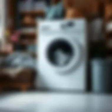 A checklist of maintenance tips for prolonging washing machine life