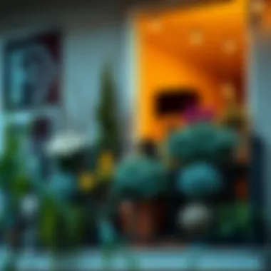 Stylish balcony adorned with winter plants and decorations