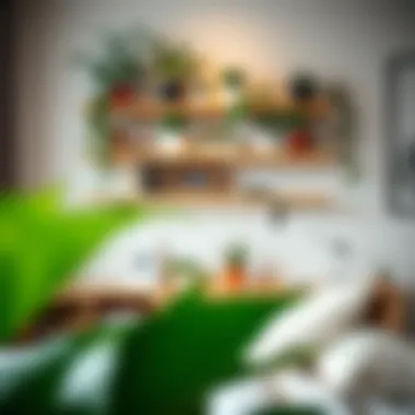 A stylish plant shelf displaying various decorative plants in a bedroom